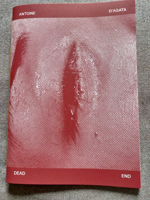 Antoine d'Agata : Dead End (Photo Zine 3)
