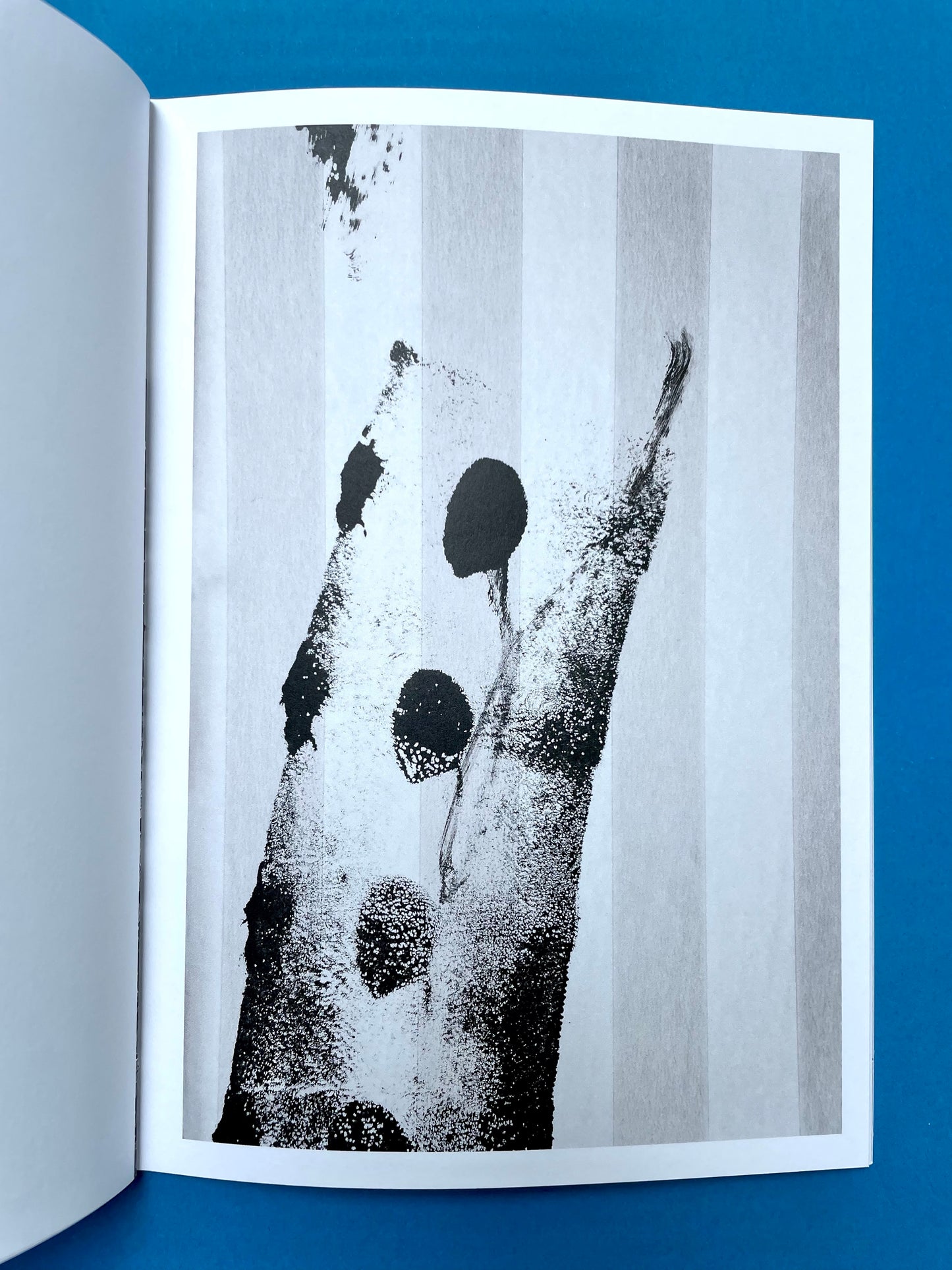 Jessica Backhaus : Indications of the sea (Photo Zine 1) OUT OF PRINT