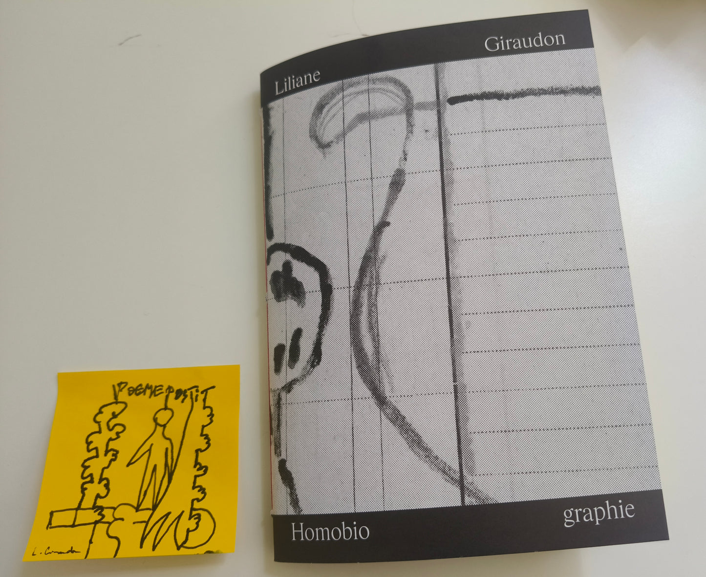 Zine dessin 1 Liliane Giraudon "Homobiographie" Avril 2026