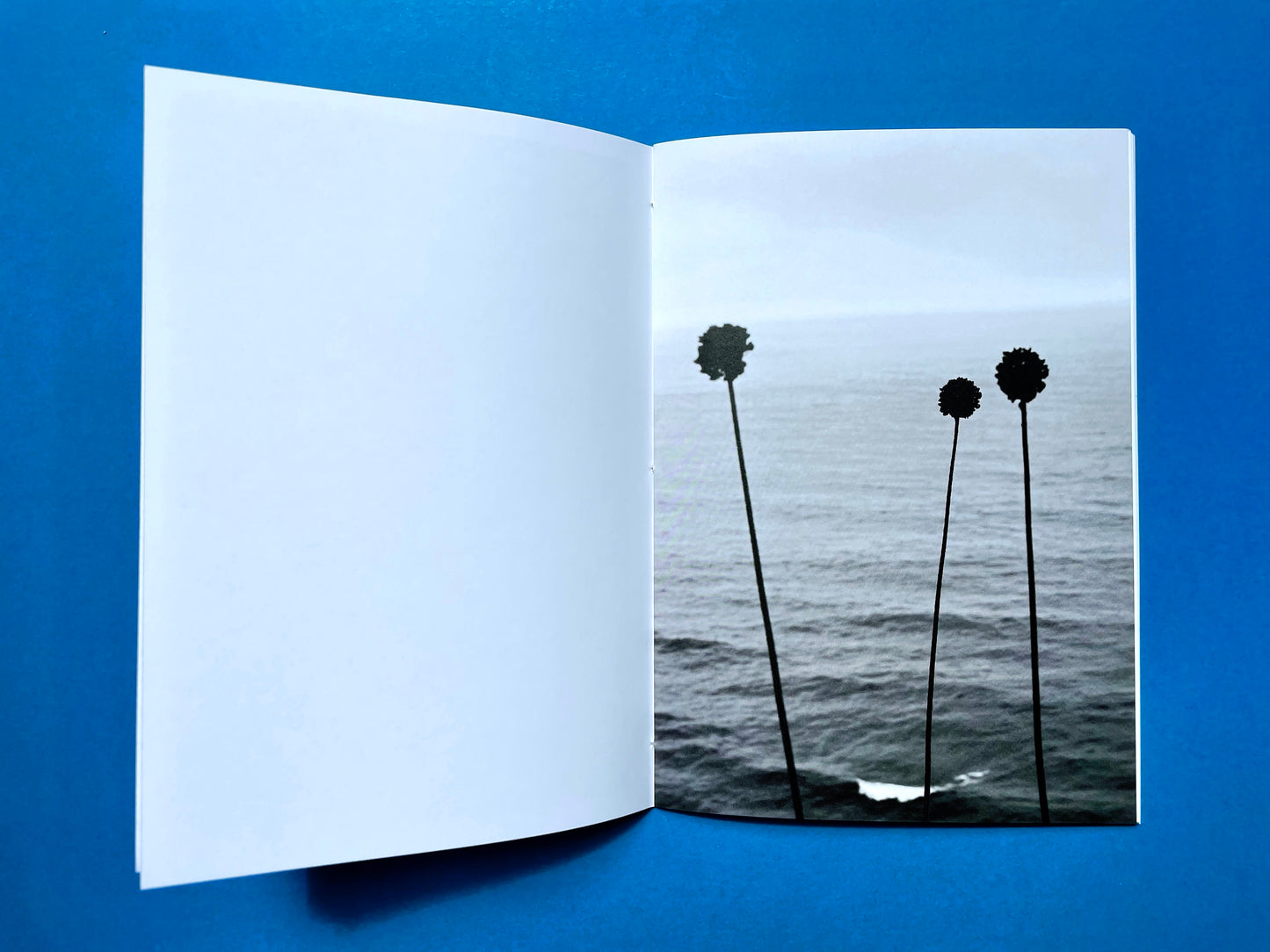 Jessica Backhaus : Indications of the sea (Photo Zine 1)    OUT OF PRINT