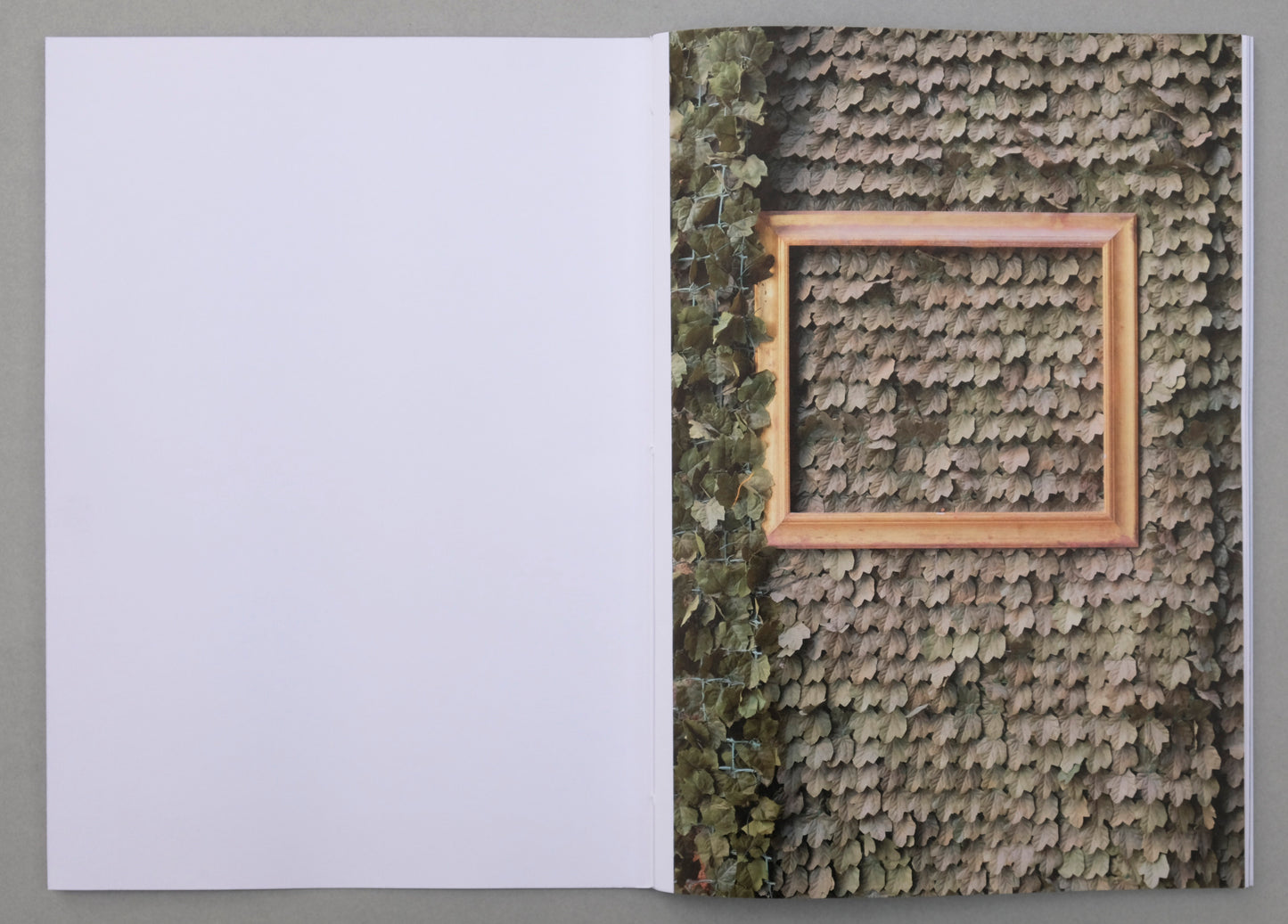 Uwe Bedenbecker : Nature or not  (Photo Zine 8)