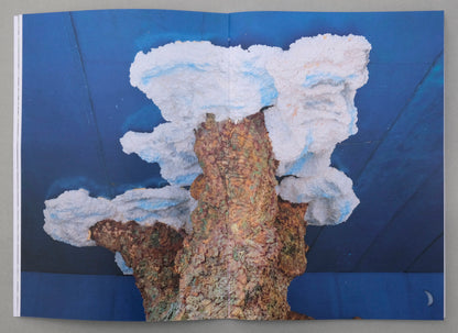 Uwe Bedenbecker : Nature or not  (Photo Zine 8)