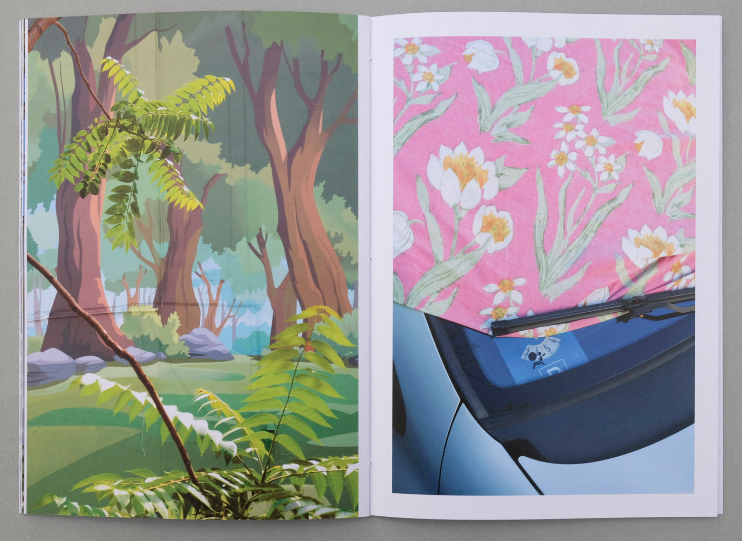 Uwe Bedenbecker : Nature or not  (Photo Zine 8)