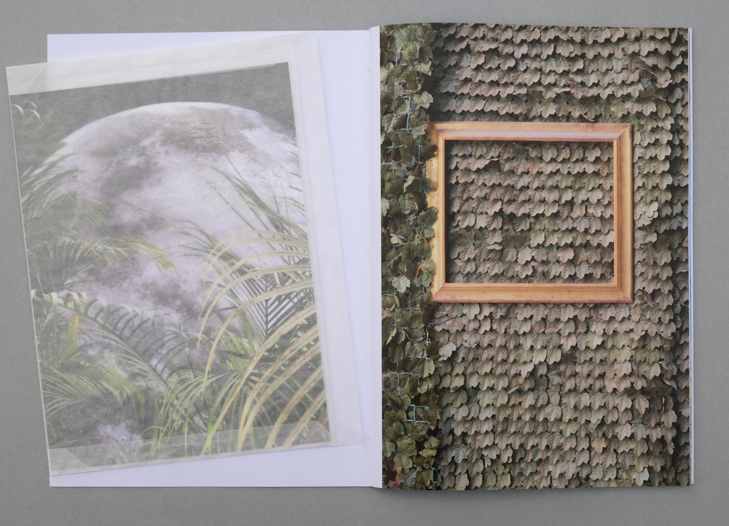 Uwe Bedenbecker : Nature or not  (Photo Zine 8) Special edition