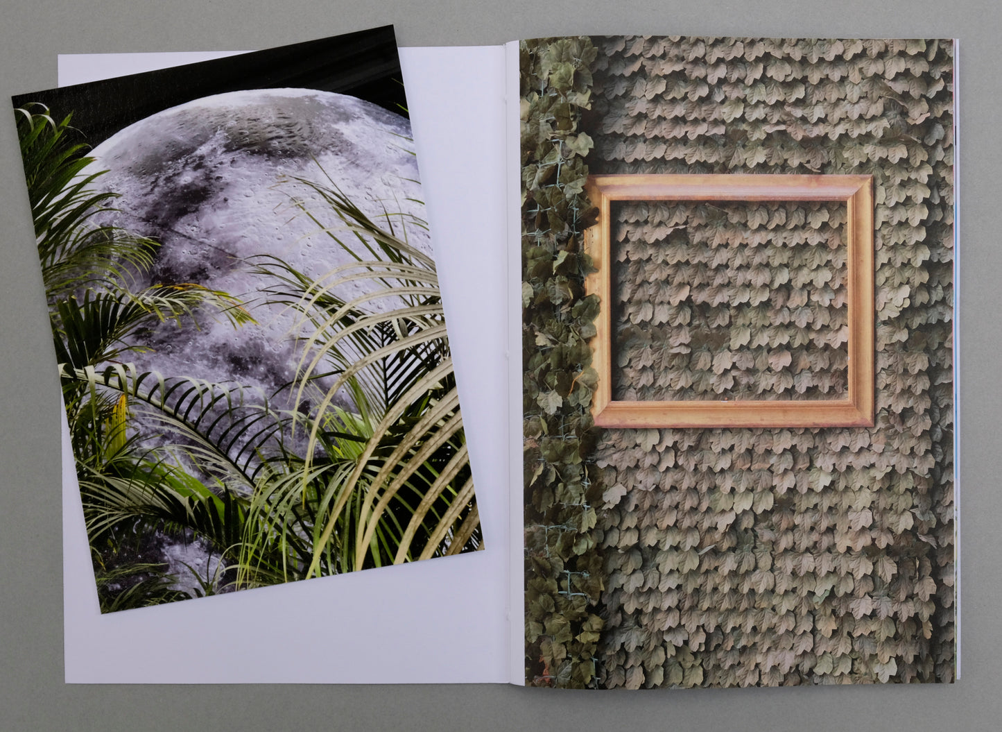 Uwe Bedenbecker : Nature or not  (Photo Zine 8) Special edition