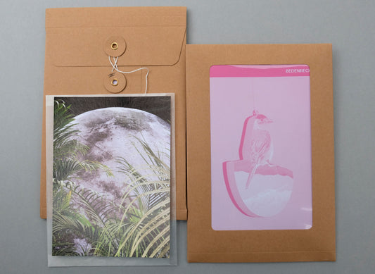 Uwe Bedenbecker : Nature or not  (Photo Zine 8) Special edition